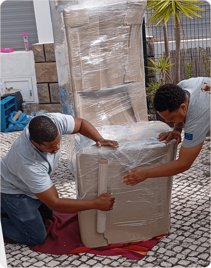 Carga e descarga profissional